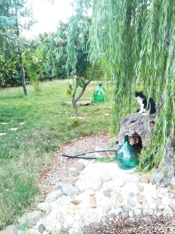 Dimora Antonianna In Valle D'Itria Локоротондо Екстериор снимка
